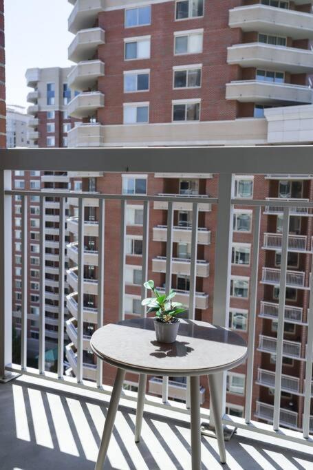 Bright Apartment Walk To Ballston Metro Arlington Buitenkant foto